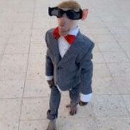 Djurig Grabb's Steam avatar