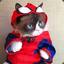 Spidergrump