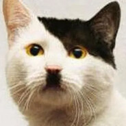 Adolf kitler
