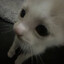 cortelixx's avatar