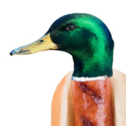 HOT DUCK