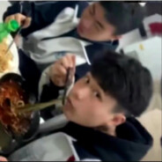 兔子先生爱吃草