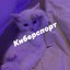 Dzyub&#039;a