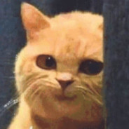 这个橘猫不太妙