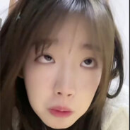 四个大字，东北夹子