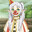 不是恶魔
