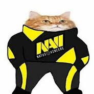 Нави Тренер