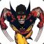 Wolverine Boladaum