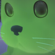 爱吃巧克力的米狗