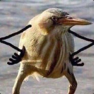 Cake-6's Avatar