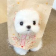 我就玩玩玩玩玩玩玩玩