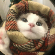 真的很卡别骂了