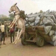 Анскильныйишак