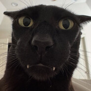 𝒟𝑒𝓂𝑜𝓃𝟜𝑜🥀