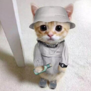 一只无聊的乳酸菌