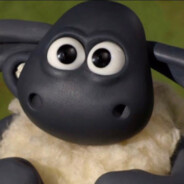 莫得感情的老六