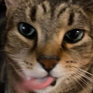 OgreJuice