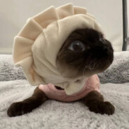 matweyzgg - steam id 76561199727655718