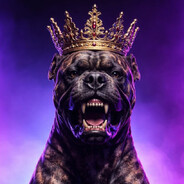 Alpha | Donbass_PEEK