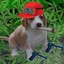 Easy-S | Pvpro.com