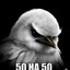 50на50
