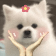 最后一页是孤单心事