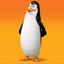 Kowalski CSGOSKINS