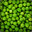 saltedpeas