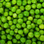 saltedpeas