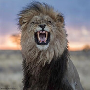 شبكة الاتصالات ال