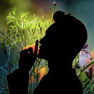 Gan.Jingting甘敬亭