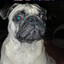 Henryxd