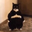 Kevin