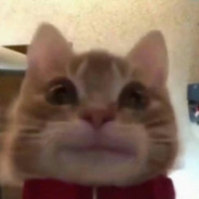 看一下村田老师的讲稿