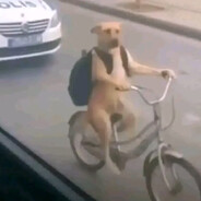 ♿'s avatar