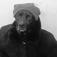 𝒶𝓇𝓋𝒾𝓃𝓂𝓈𝓃