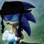 Sonic HedgeGOD