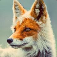 foxy