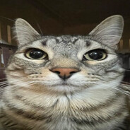 Dubby ඩ