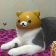 Samurai Cappuccino 2.0