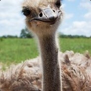 thomass1 avatar