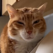 Hyrus avatar