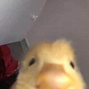 Just a Duck's avatar