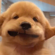 我肯定会早点睡觉的嘿