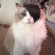 ❤纯情明祖火辣辣❤