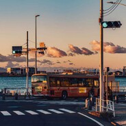 北极熊；冰原悍匪