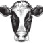 nosamthecow