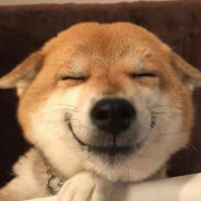 帮女大学生擦身体乳