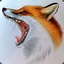 Mr.FoX