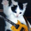 rockin-a-